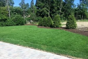 New trees, mulch and sod landscaping