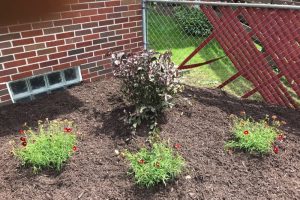 Landscape project with a flower bed
