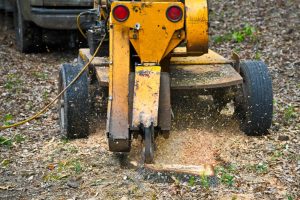 Grinding a Stump